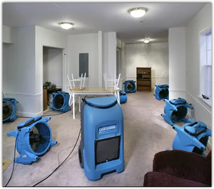 Water Damage Restoration services in Union Hill-Novelty Hill, WA