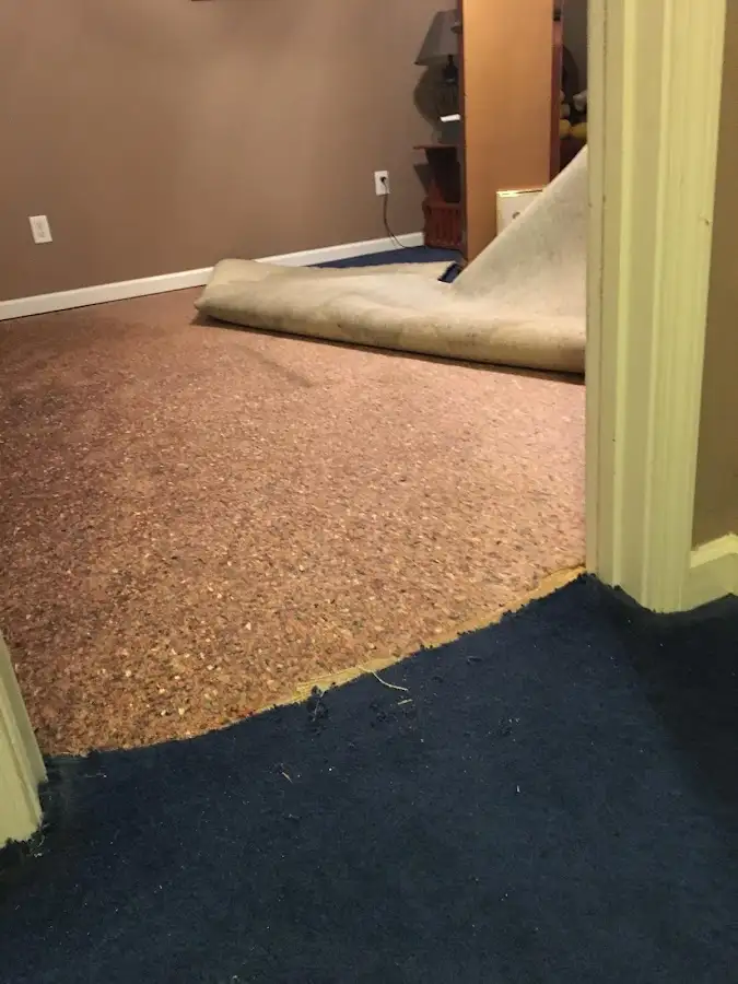 Carpet pad removal revealing water damage during Water Mitigation Services in Union Hill-Novelty Hill