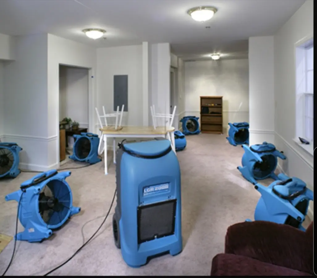 Air movers and dehumidifier setup for Water Extraction & Removal in Union Hill-Novelty Hill